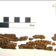 Illustration for article titled Remarkable 3,900-Year-Old Suit Of Bone Armor Found In Siberia